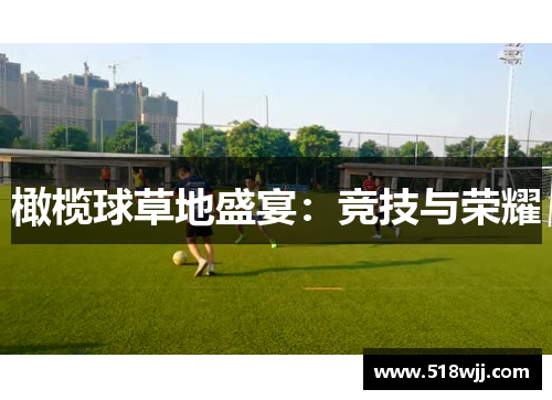 橄榄球草地盛宴：竞技与荣耀