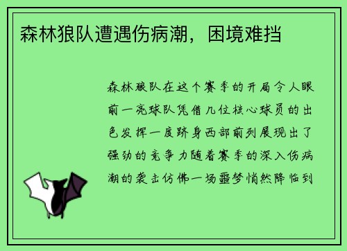 森林狼队遭遇伤病潮，困境难挡